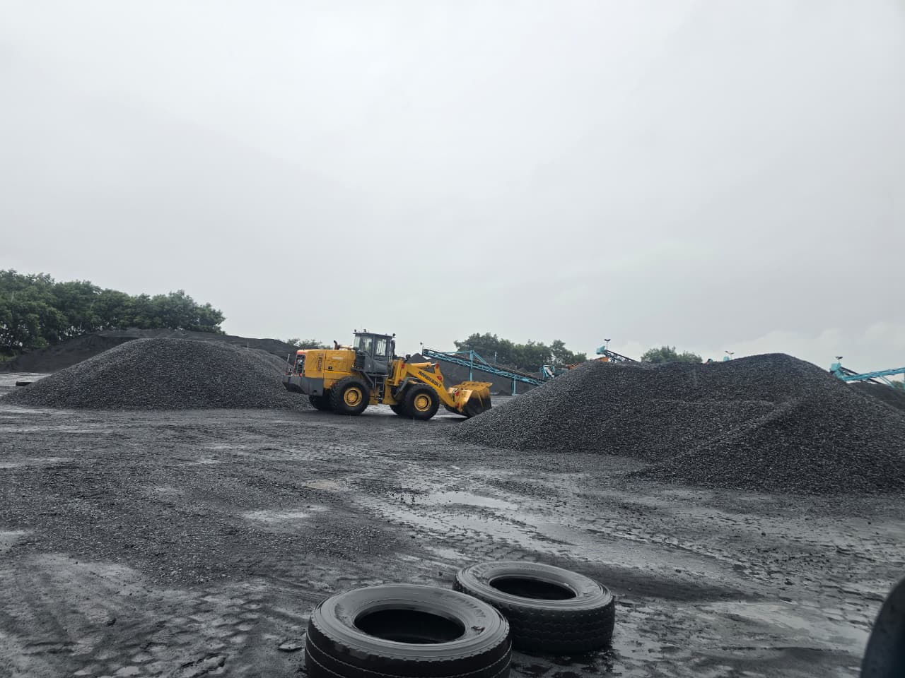 Coal Supply